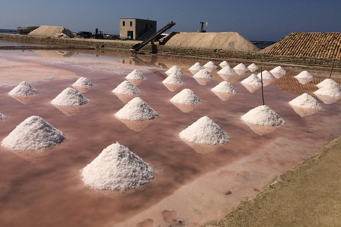 The Best of the West Segesta, Erice, Trapani Saline, Full-Day Tour From Palermo - Saline: Salt of the Earth