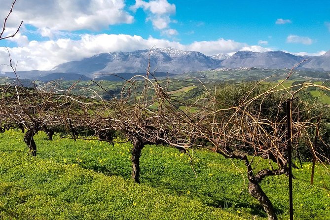 The Gourmet Wine Tour of Heraklion Area - Additional Tour Details