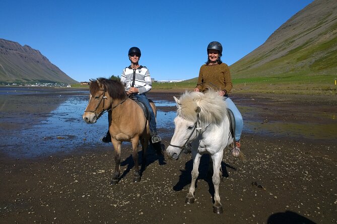 The Valley Ride Private HORSE RIDING Tour - Rider Testimonials