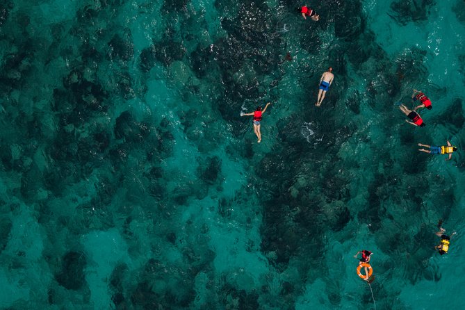 Tobago Buccoo Reef Glass Bottom Boat Tour - What to Expect