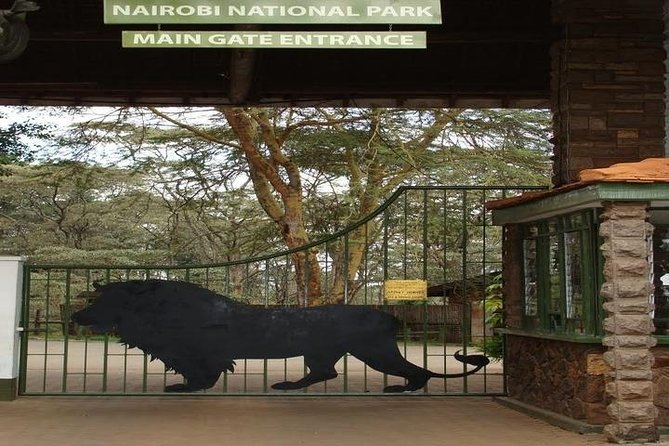 Tour: Giraffe Center and Nairobi National Park - Exclusions From the Tour