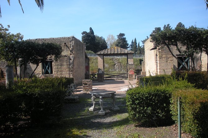 Tour in the Ruins of Herculaneum With an Archaeologist - Additional Information