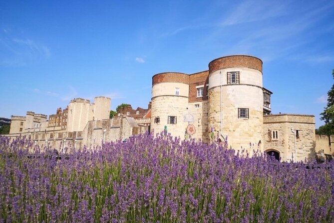 Tower of London Private Walking Tour for Families and Friends - Feedback From Tour Participants