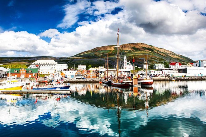 Traditional Oak Ship Whale Watching Tour From Husavik - Booking and Cancellation Policy