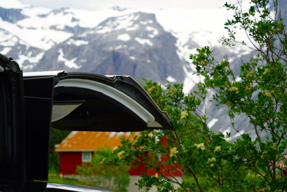 Tromsø: Fjord Sightseeing in a Tesla X Luxury Electric Car - Eco-Friendly Excursion