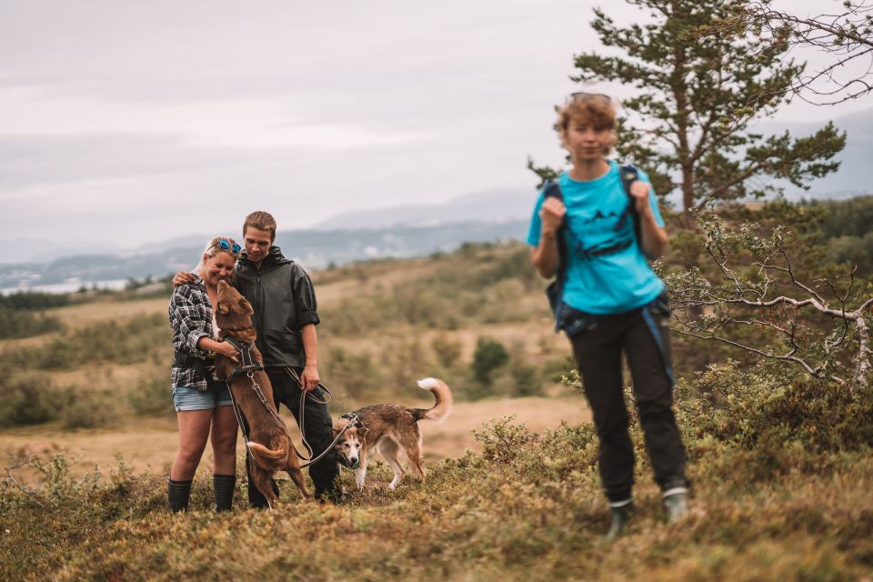 Tromsø: Husky Hike and Puppy Visit With Traditional Lunch - Cancellation Policy and Flexibility