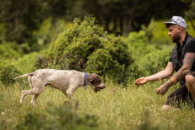 Truffle Hunting at Meteora - Meeting and Pickup Details