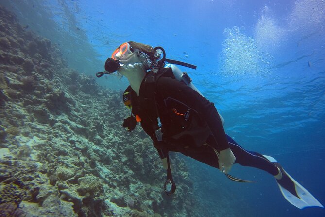 Try Scuba Diving Experience for Beginners in Hurghada - Cancellation and Change Policies