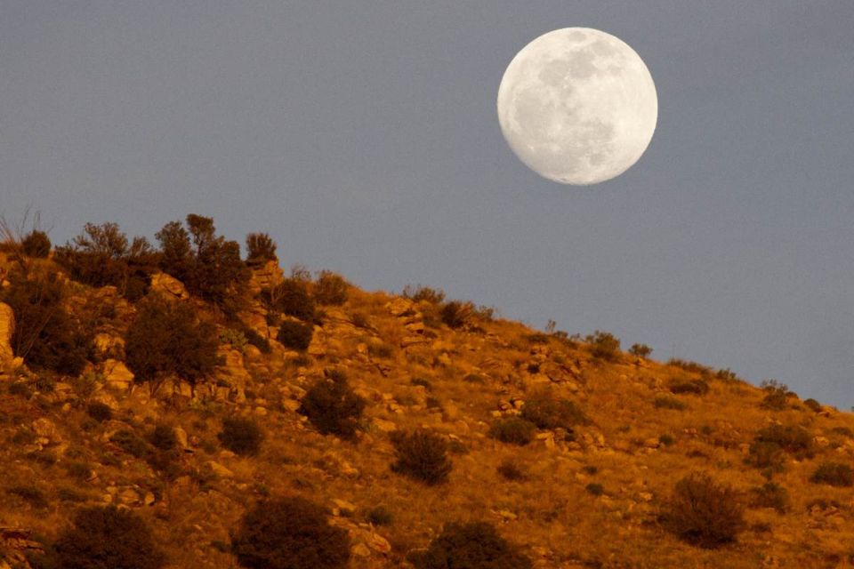 Tucson: Mt Lemmon & Saguaro NP Self-Guided Bundle Tour - What to Bring and Prepare