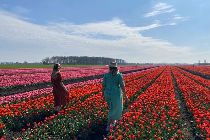 Tulip Field With a Dutch Windmill Day Tour From Amsterdam - Tour Accessibility