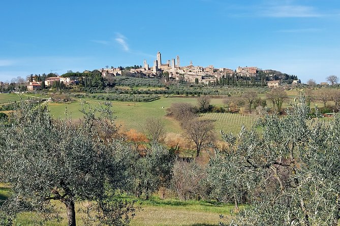 Tuscany Experience: Pisa, Siena, San Gimignano & Wine Tasting - Historic Towns Exploration