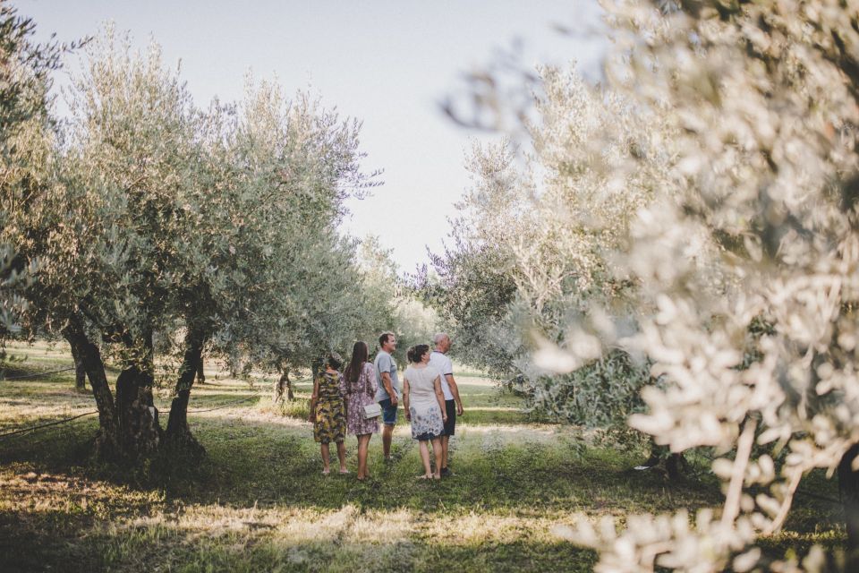 Umag: Olive Oil, Wine, and Local Food at a Family Farm - Reservation and Pricing