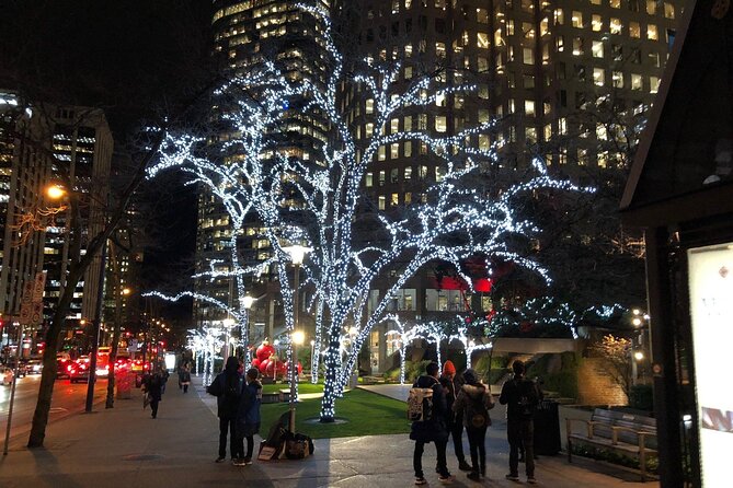 Vancouver Christmas Light Tour Private - Guarantee and Flexibility