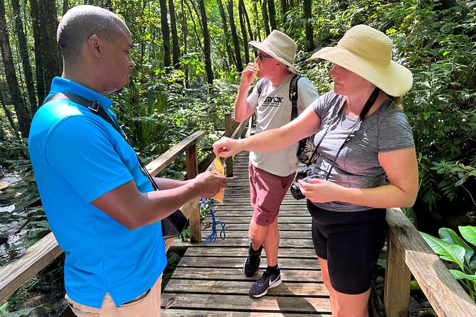 Vermont Nature Trail With Topdawg Taxi and Tours - Photo Opportunities