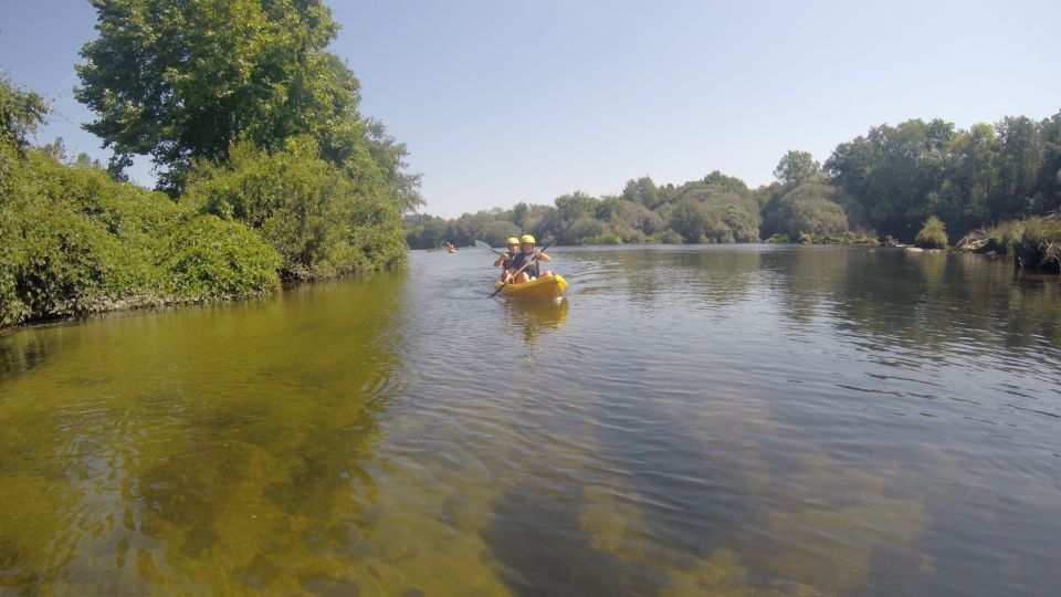 Viana Do Castelo: Kayak Tour at Lima River - Safety Considerations