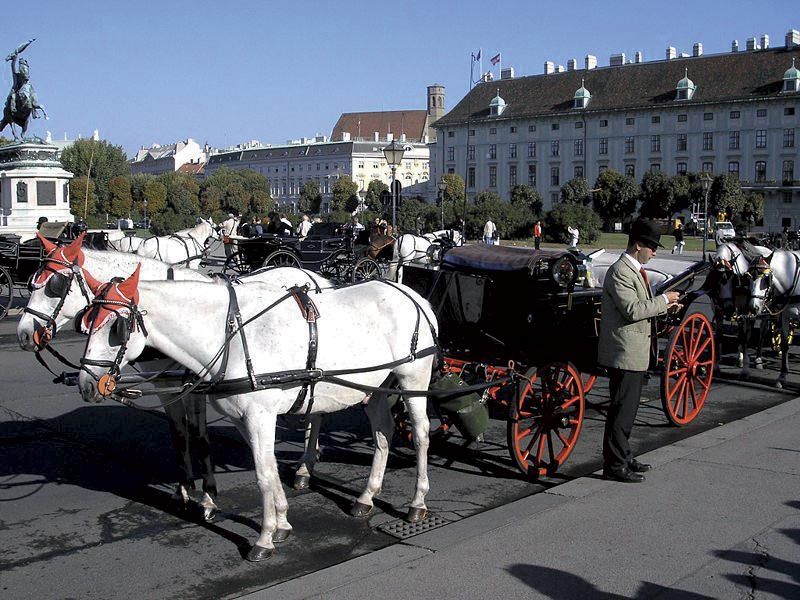 Vienna: Mozart Concert With Dinner and Carriage Ride - Discounts and Eligibility