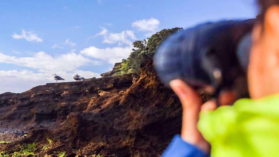 Vila Franca Islet: Off-coast Nature Reserve Tour - Guided Walking Tour of the Islet