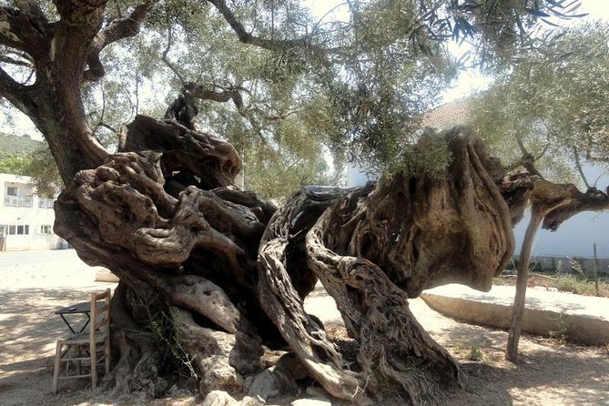 VIP Full Day Tour Shipwreck Blue Caves and Top View - Xigia Sulfur Beach