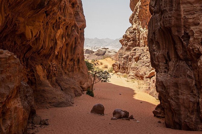 Wadi Rum Desert Tour With Lunch & Sunset - Included in Tour