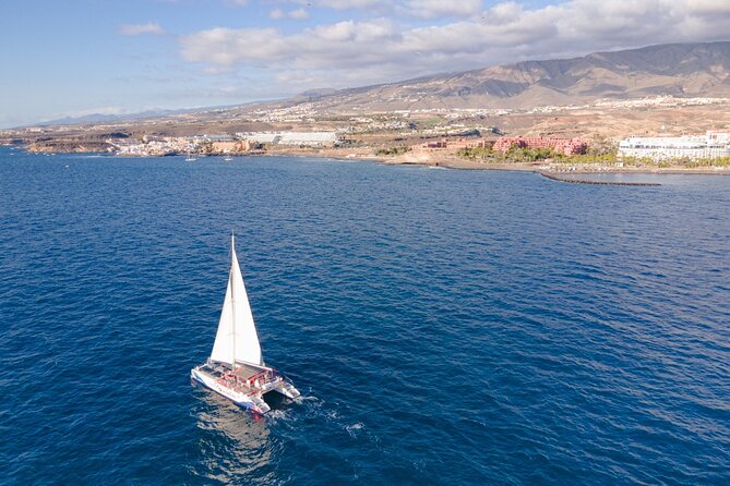 Watching and Listening Whales Visiting Los Gigantes&Masca. Food&Drinks Included - Weather and Minimum Passenger Conditions