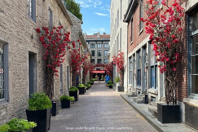 Welcome to Montreal's Old Town: Private 2-hour Walking Tour - Recommendations for Local Food and Drink