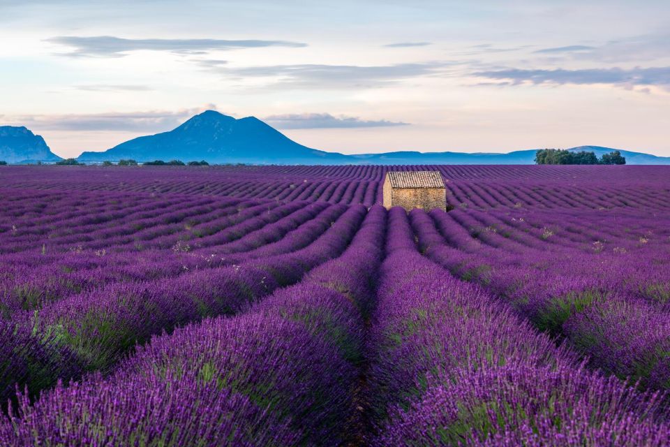 Wild Alps, Verdon Canyon, Moustiers Village, Lavender Fields - Sainte-Croix Lake