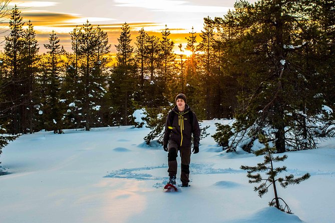 Wilderness Snowshoe Adventure - Exploring the Winter Wonderland