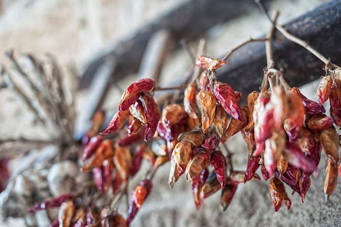 Wine Ostuni, Tour of an Apulian Winery With Traditional Lunch or Aperitivo - Cancellation Policy