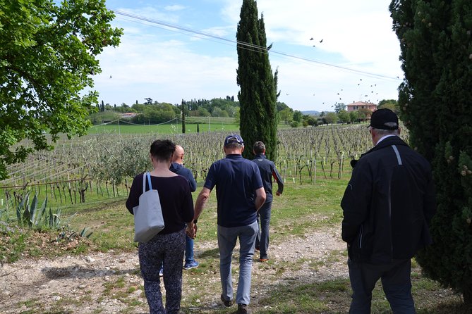 Winery Tour and Tasting of Garda Wines in Lazise - Accessibility and Cancellation Policy