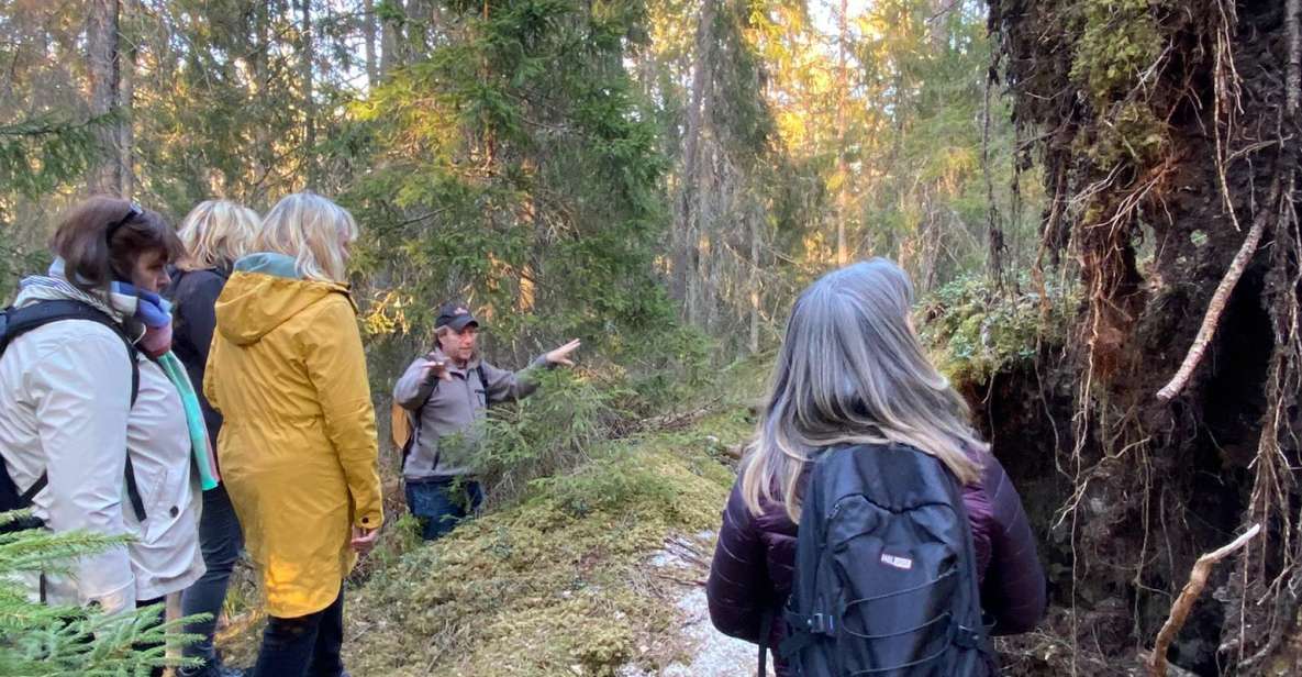 Wolf and Wildlife Tracking in Sweden - Important Information and Considerations