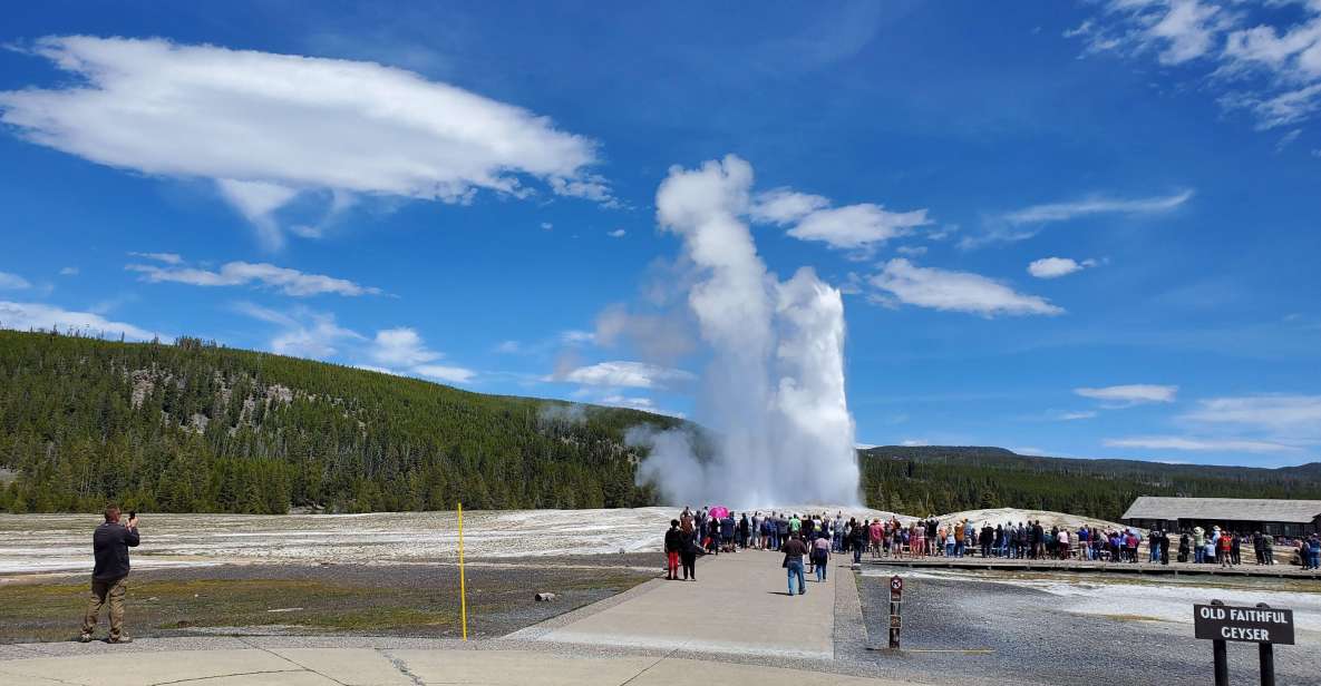 Yellowstone: Bespoke Photo Tour - Summer - Capturing Yellowstones Treasures