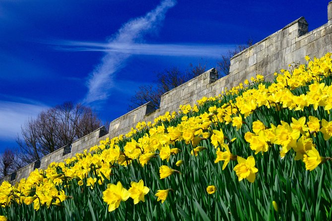 York Small-Group Evening Walking Tour With Guide - How to Book the Tour