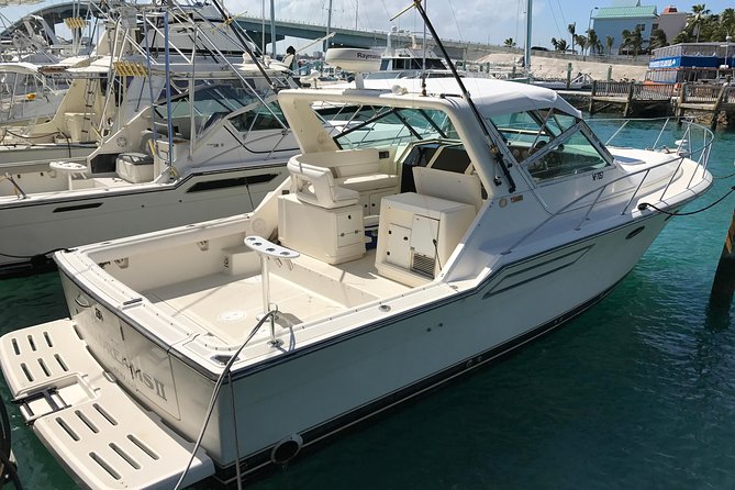 8 Hours 38FT Reel Dreams Private Charter Nassau - Key Points