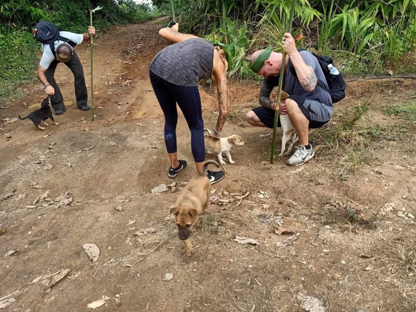 1 Day Trekking : Chiang Rai Popular Activity,Fun in Nature. - Traveler Reviews and Feedback