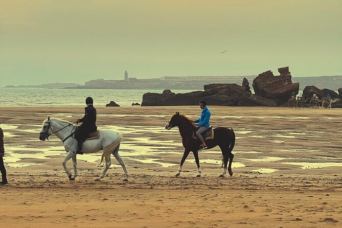 1 Hour Horse Ride on the Beach of Essaouira - Booking Policies