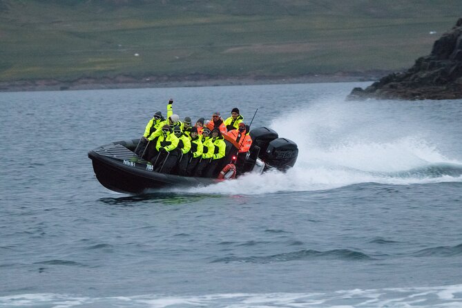 1 Hour Iceland Nature and Wildlife RIB Small Group Guided Safari - Observing Puffins and Seals