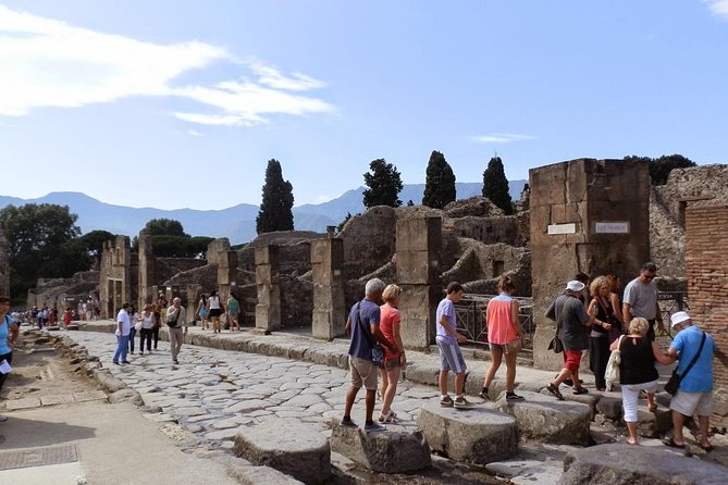 2 Hours Pompeii Tour With Local Historian - Ticket Included - Tour Duration and Reviews