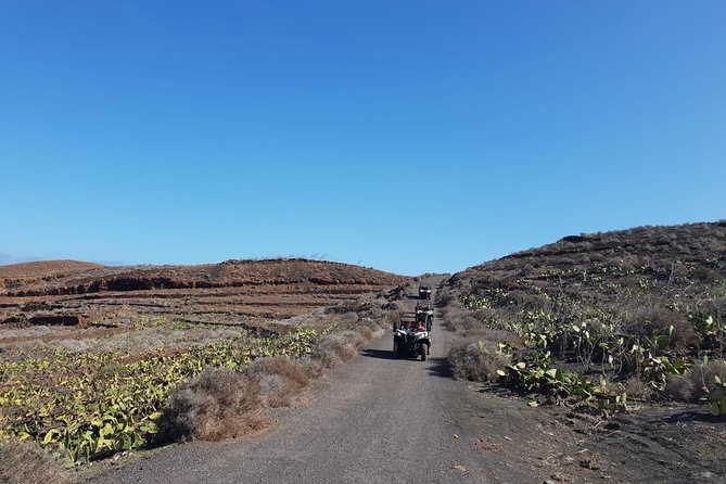 2h Buggy Tour Guided by the North of Lanzarote - Cancellation Policy