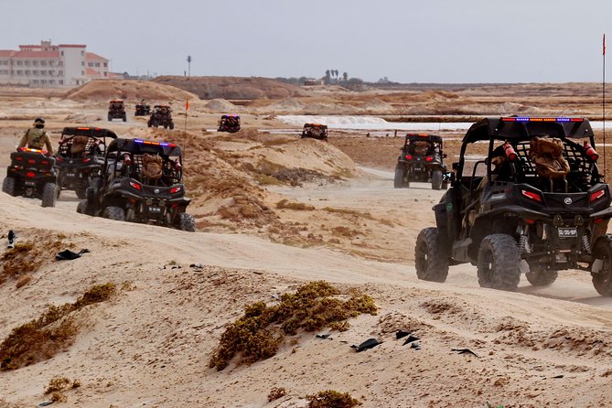 2h SSV Buggy Desert Adventure - 1000cc or 500cc - Buggy Options