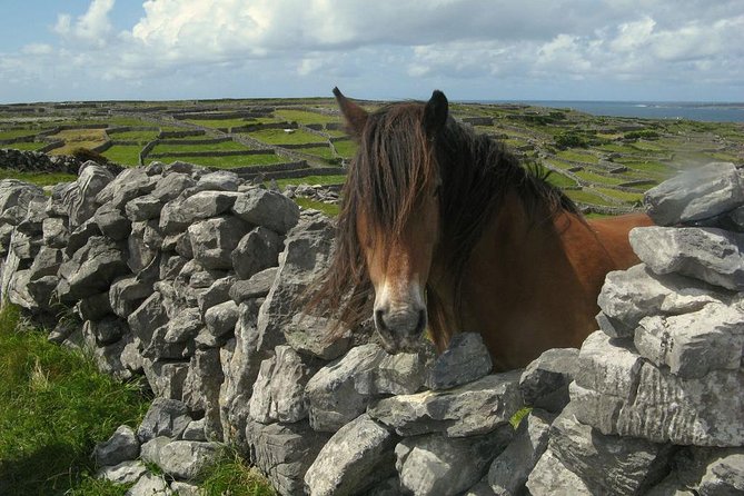 3-Day Southern Ireland Tour Including Galway and Kerry From Dublin - Booking and Confirmation