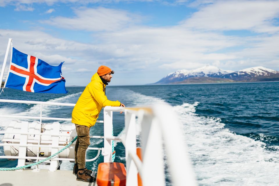 Akureyri: 3-Hour Classic Whale Watching Tour - Environmentally-Certified Company