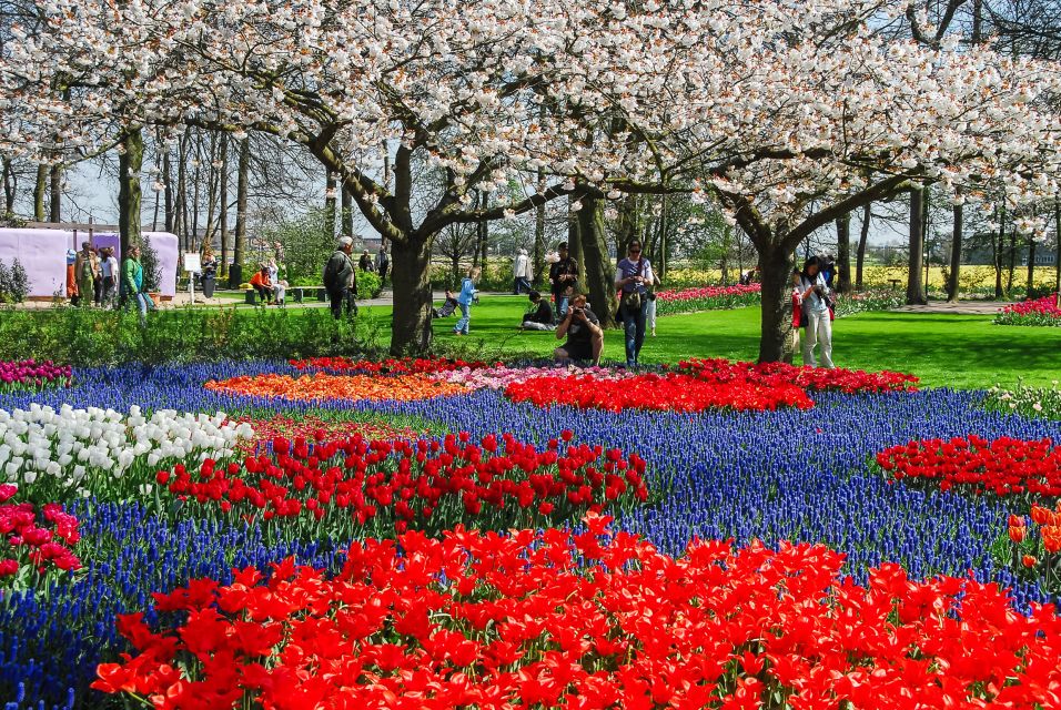 Amsterdam: Keukenhof Entry and Roundtrip Shuttle Transfer - Booking and Cancellation Policy