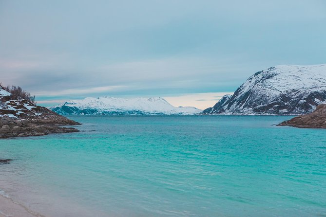 Arctic Fjord Sightseeing by Minibus - Weather Considerations and Cancellations