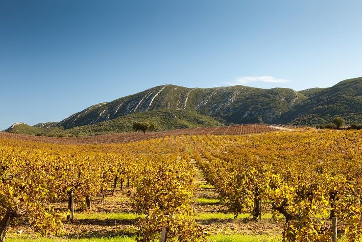 Arrabida Natural Park Full-Day Private Tour From Lisbon - Inclusions and Exclusions