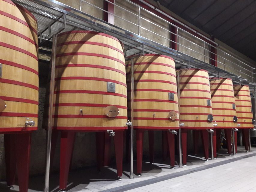 Basque Country 4 Day Tour - Rioja Wine Region