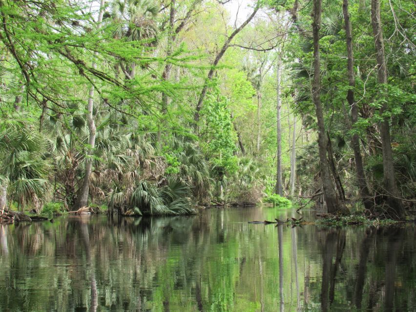 Blackwater Creek: Exclusive Nature Escape Kayak Adventure - Small Group Adventure