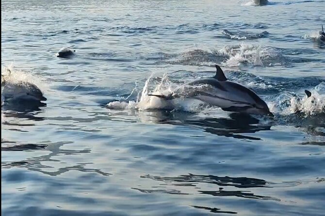 Boat Excursions in Taormina and Giardini Naxos, a Beautiful Island - Reviews and Rating of the Tour