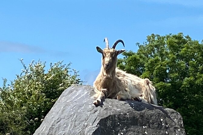 Burren Nature Sanctuary - Reviews and Ratings