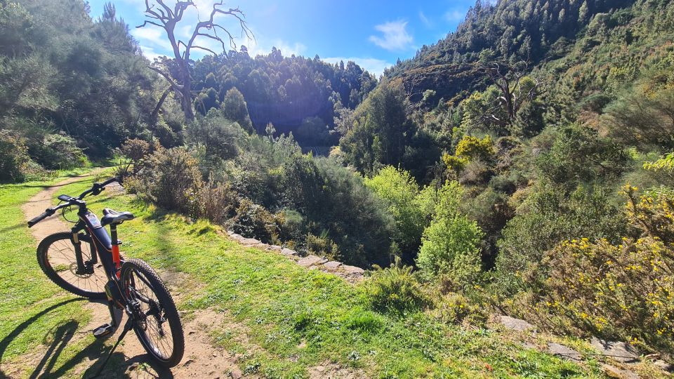 Camacha: Levada Trail E-Bike Guided Tour - Booking and Cancellation Policy