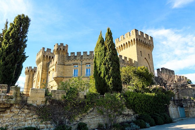 Châteauneuf Du Pape Intensive Vineyard & Fine Wine Experience - Exceptional Reviews